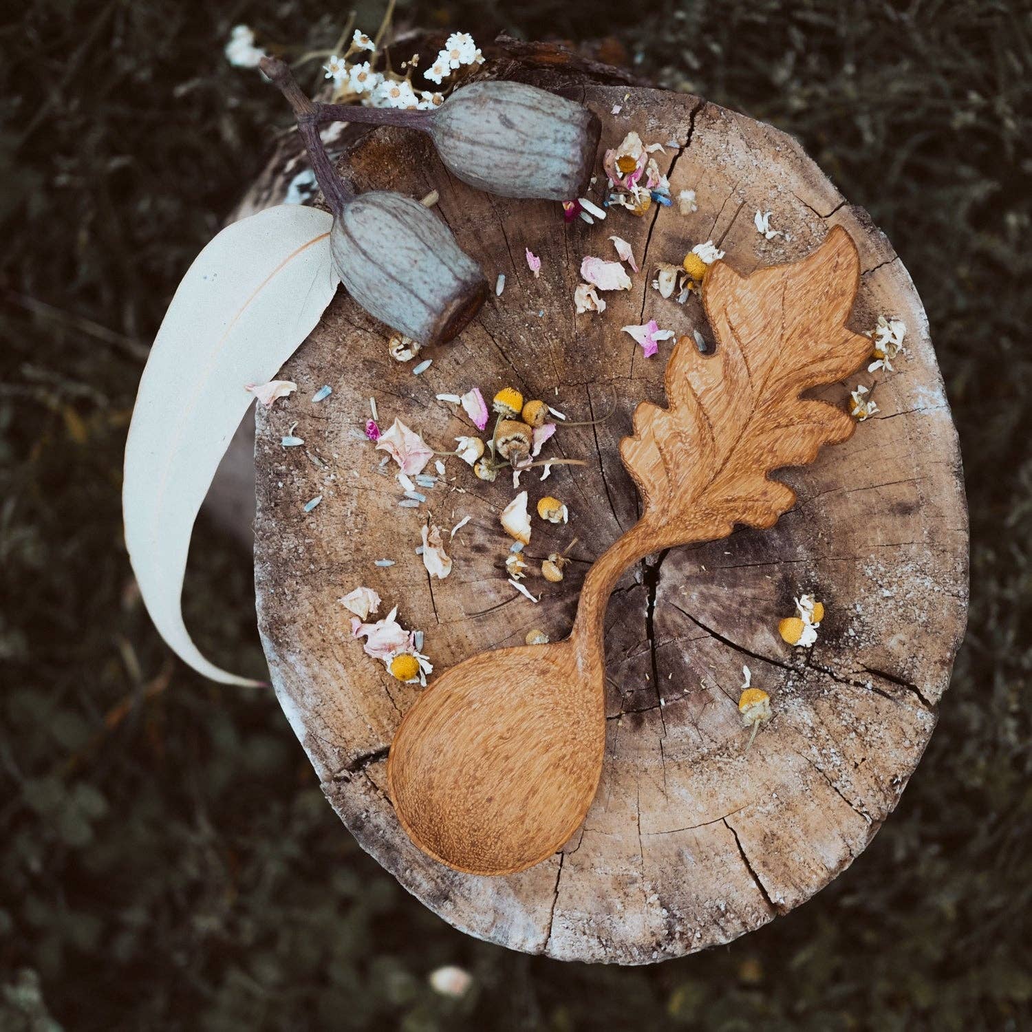 Wild Mountain Child - Leaf Spoon