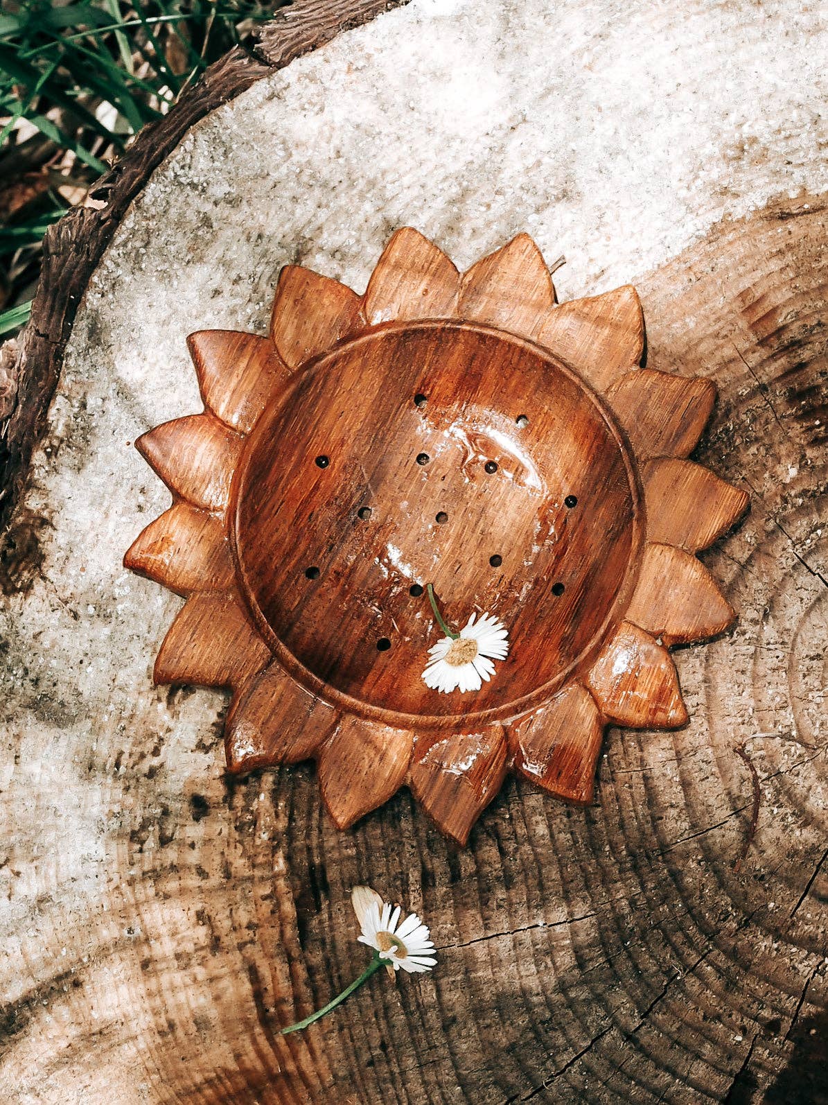Wild Mountain Child - Sun Strainer