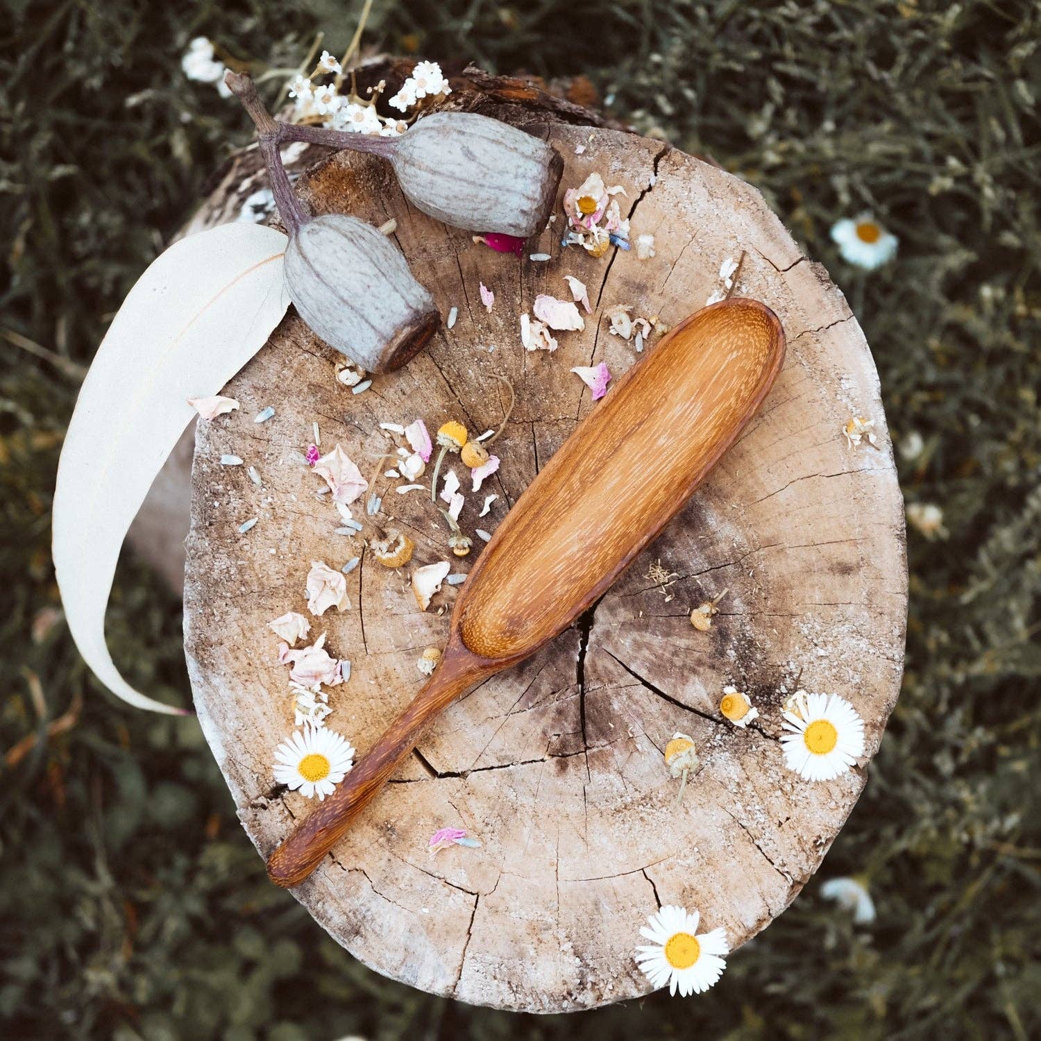 Wild Mountain Child - Paddle Spoon