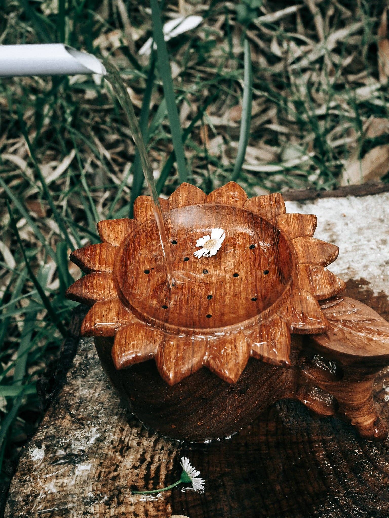 Wild Mountain Child - Sun Strainer