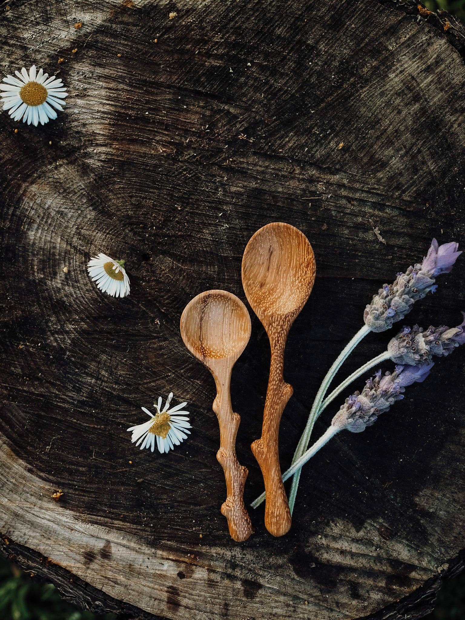 Wild Mountain Child - Branchling (Mini Branch Spoon)