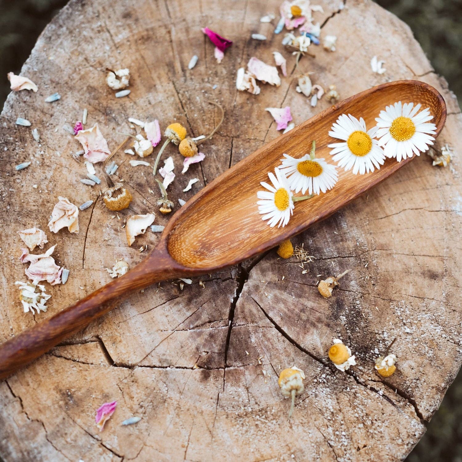 Wild Mountain Child - Paddle Spoon