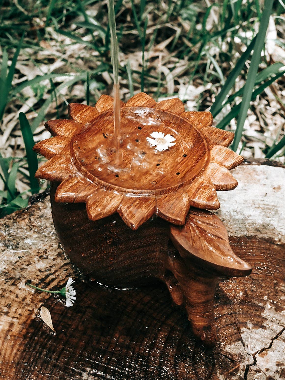 Wild Mountain Child - Sun Strainer