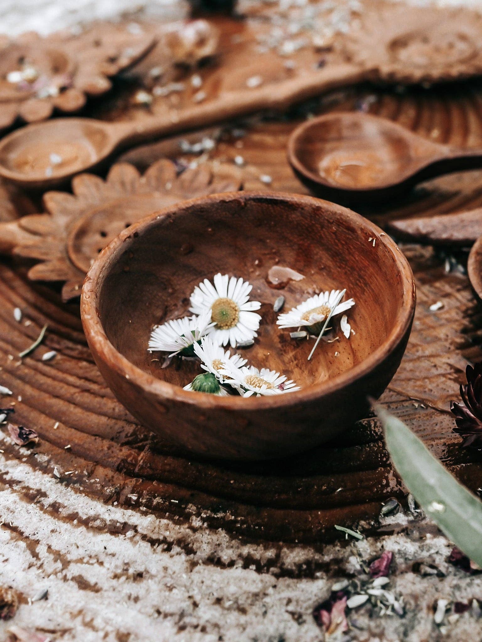Wild Mountain Child - Treasure Bowl