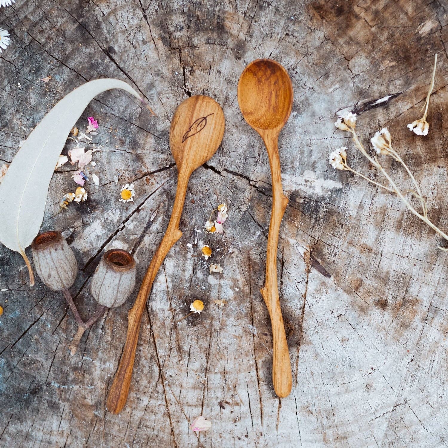 Wild Mountain Child - Twig Spoon