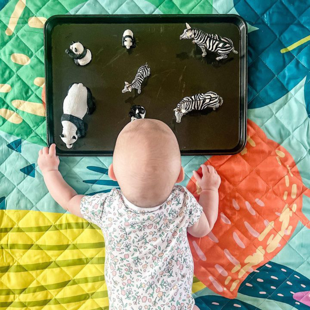 Rudie Nudie Designs - Flamingo-A-Go-Go Playmat [Large]
