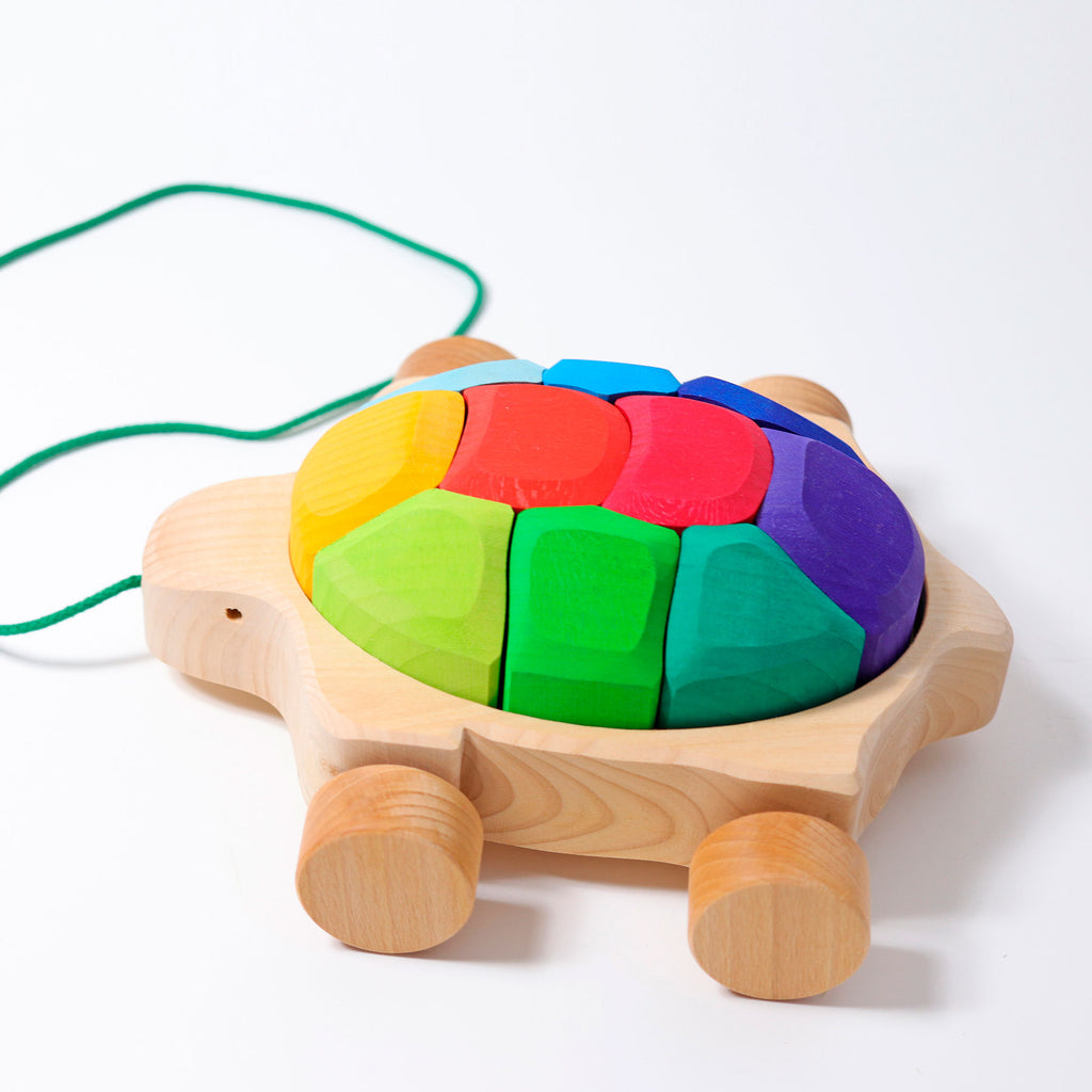 Grimm's Pullalong Turtle
