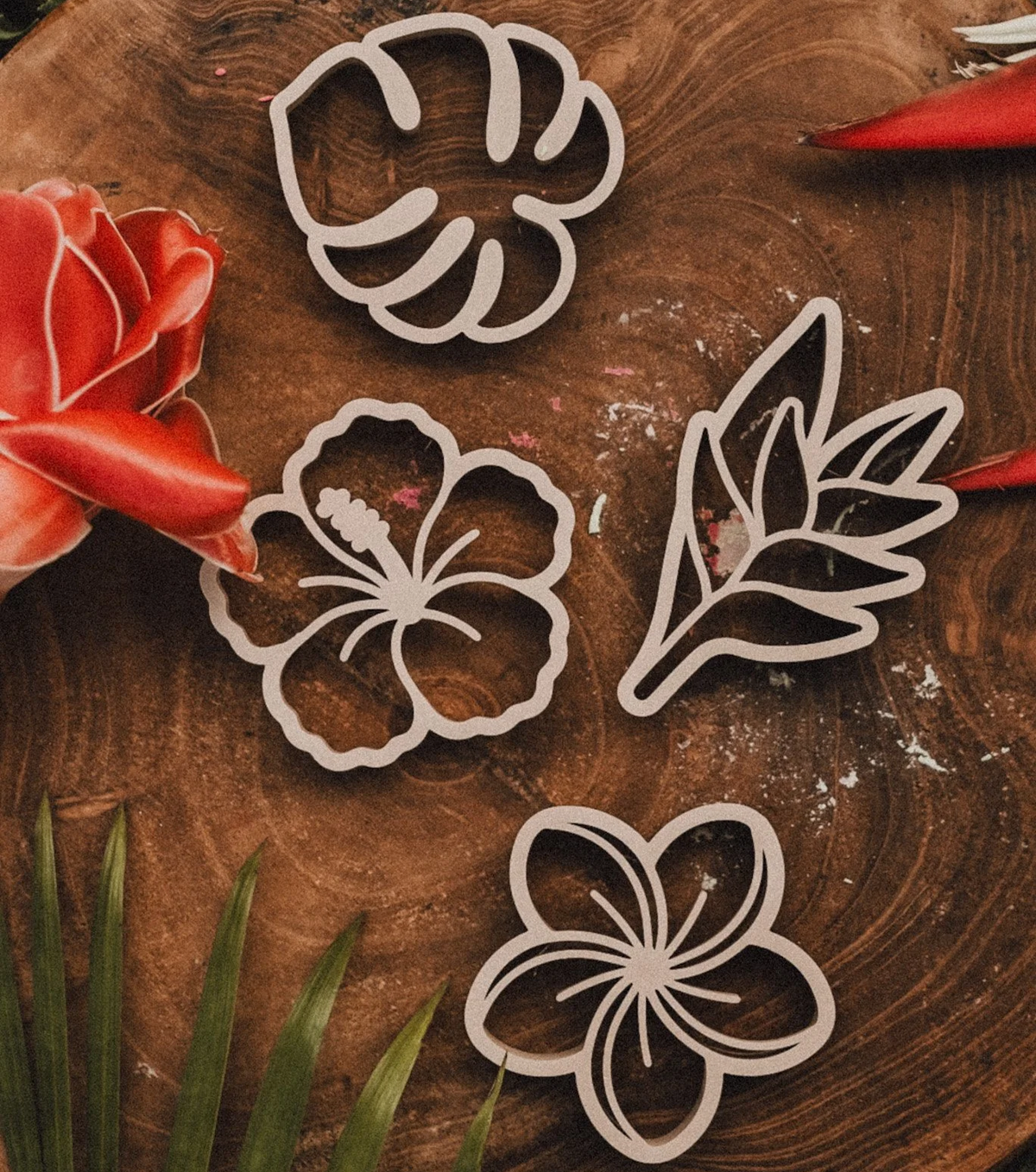Kinfolk Pantry - Tropical Flower Eco Cutter Set