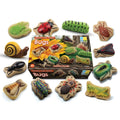 Yellow Door - Sensory Play Stones - Bugs