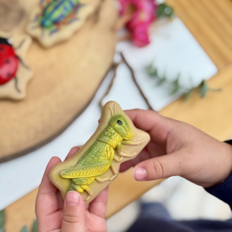 Yellow Door - Sensory Play Stones - Bugs