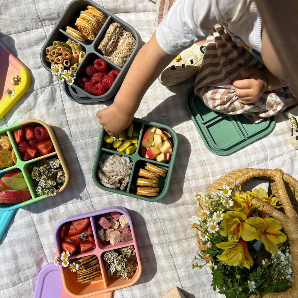 The Zero Waste People - Bento Snack Box