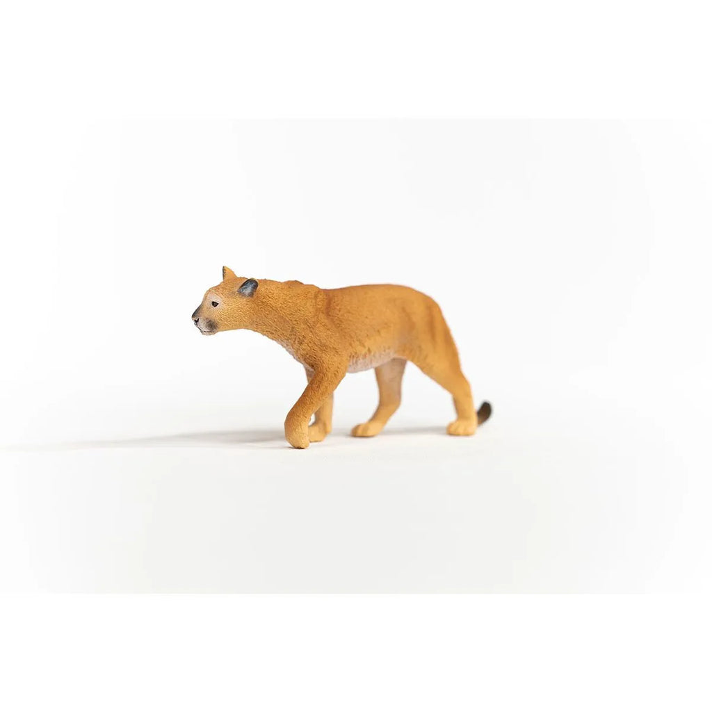 Schleich - Cougar