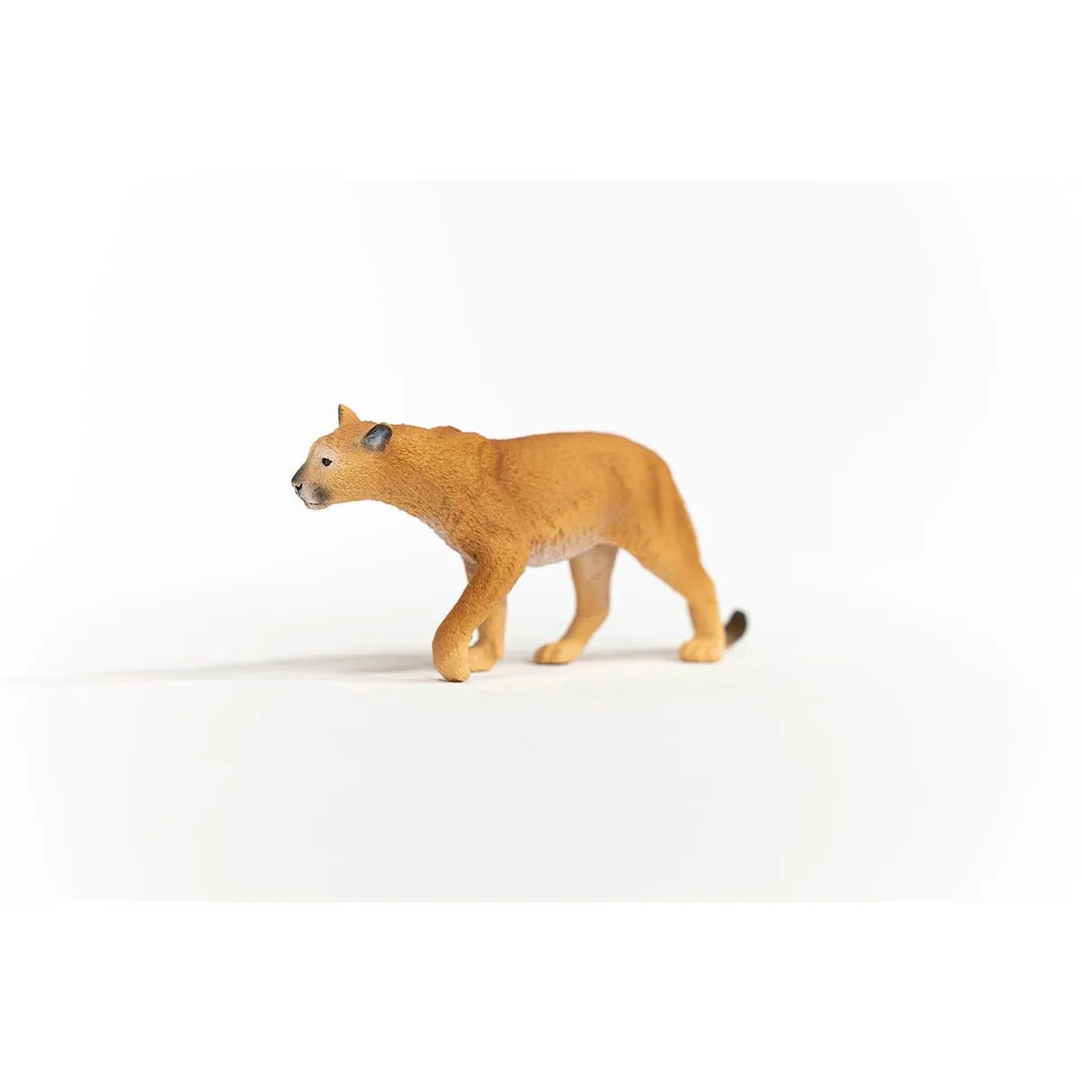 Schleich - Cougar