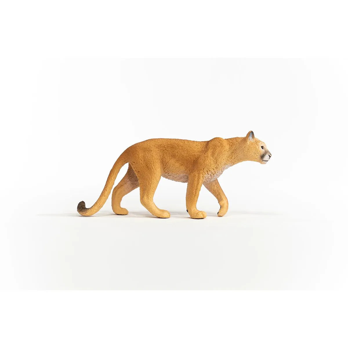 Schleich - Cougar
