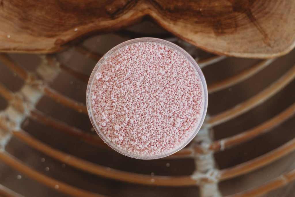 The Saltwater Collective - Jellyfish Bloom Saltwater Fizz - Medium