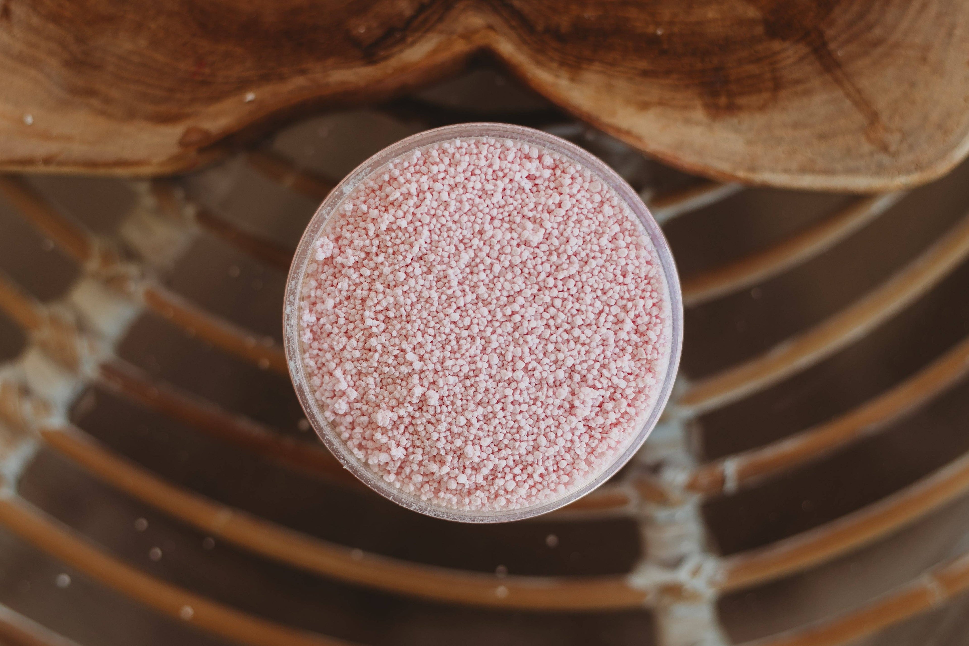 The Saltwater Collective - Jellyfish Bloom Saltwater Fizz - Medium