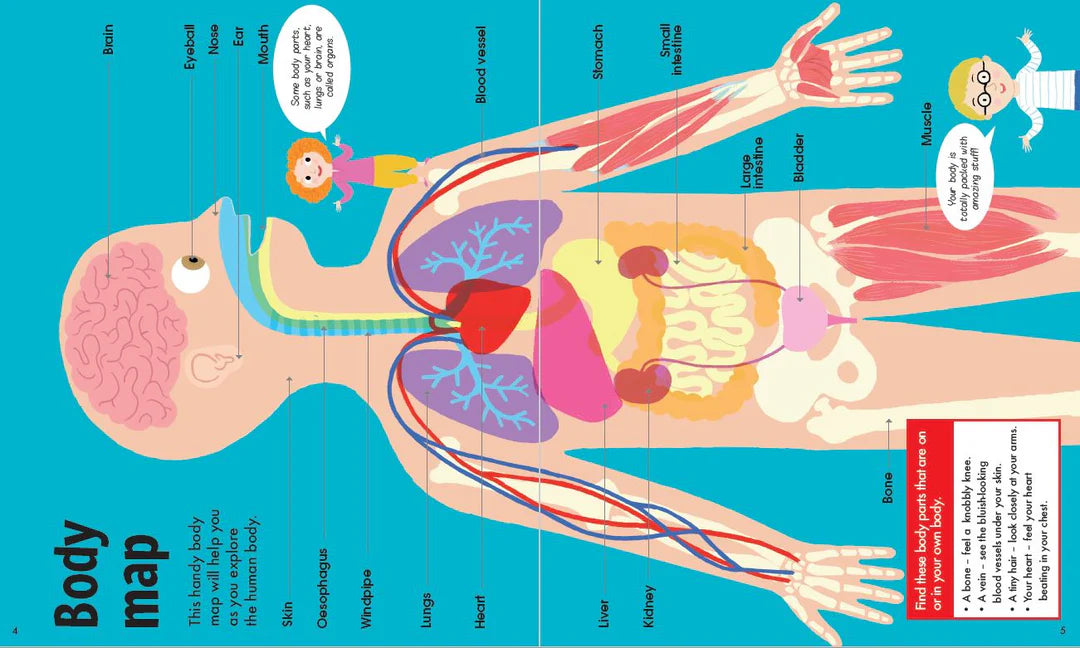 Book | FunFacts - Book & Jigsaw - The Human Body