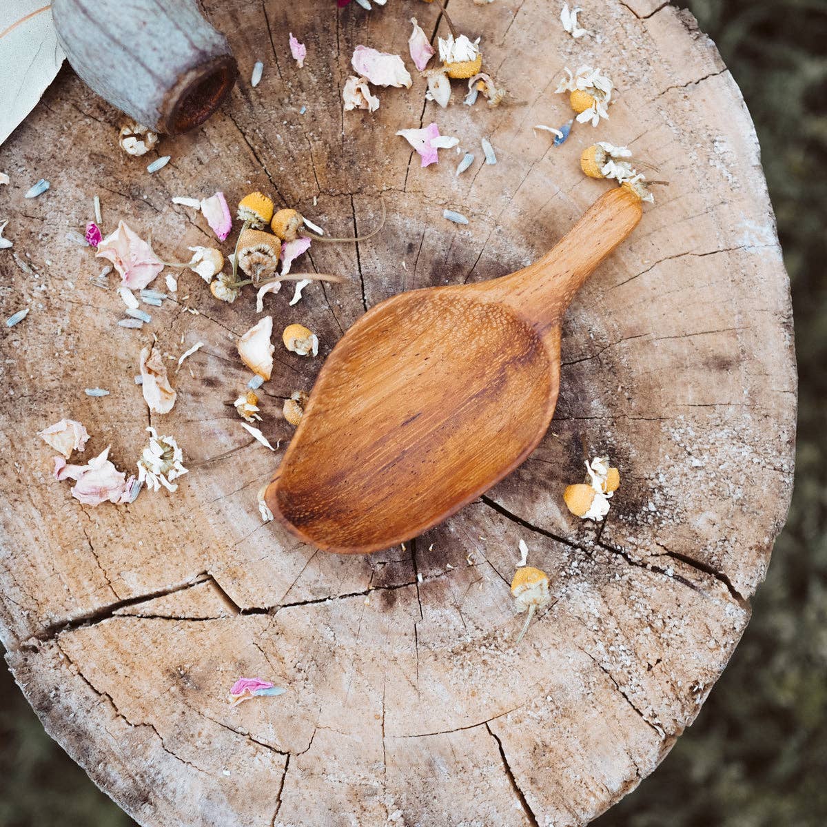 Wild Mountain Child - Handcrafted Leaf Scoop