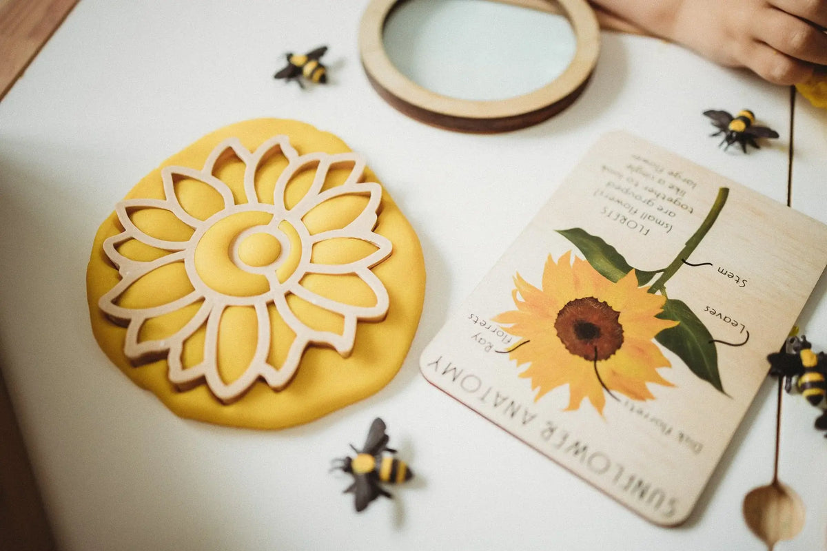 Kinfolk Pantry - Sunflower Cutter - Eco Playdough Tool