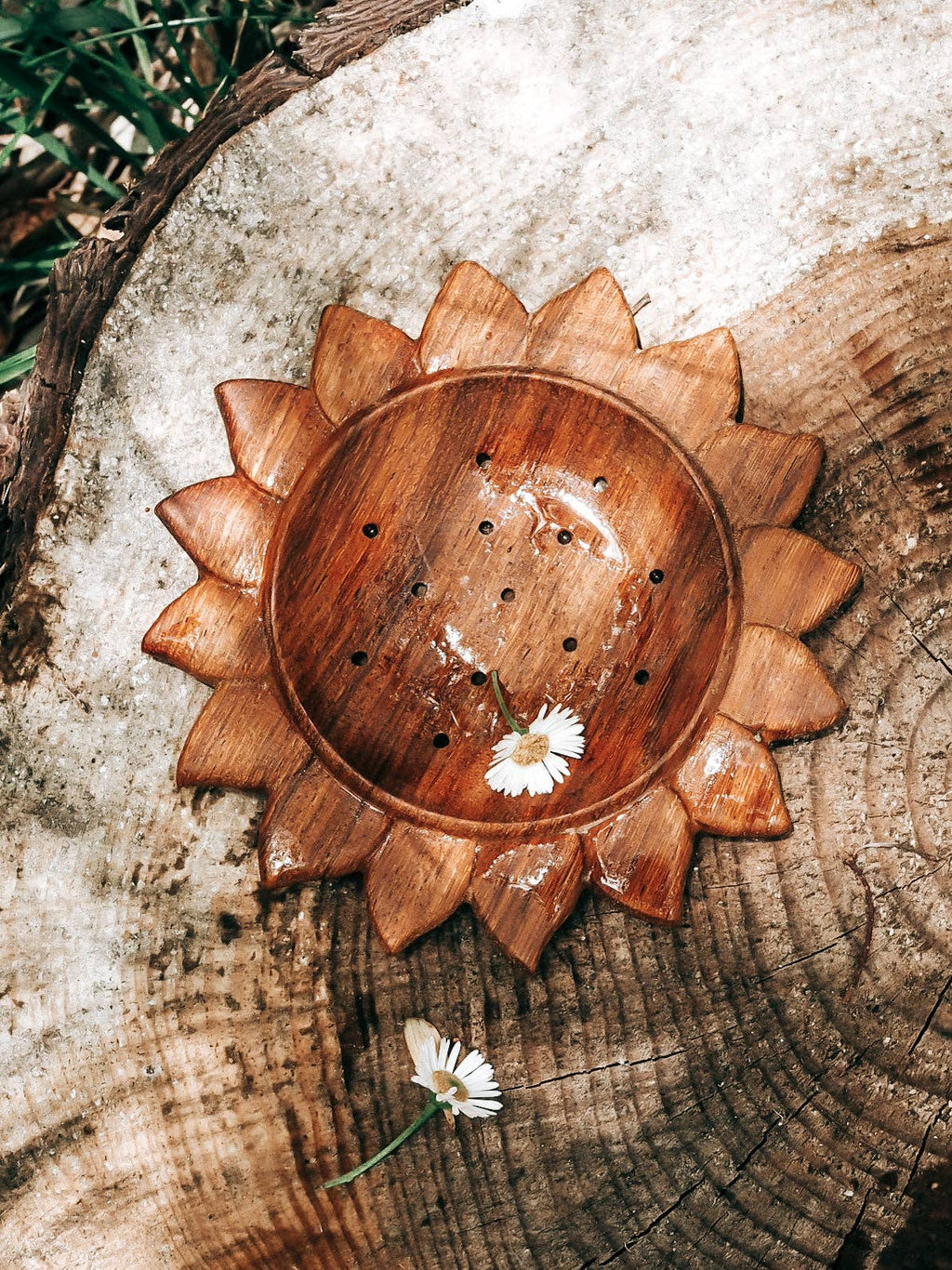 Wild Mountain Child - Sun Strainer