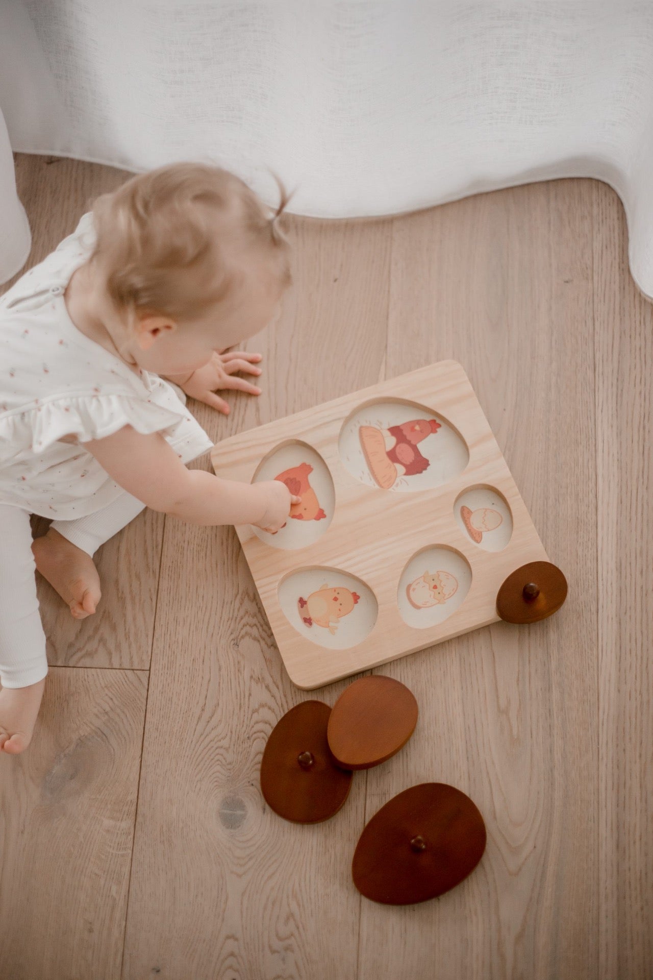 Qtoys - Hen Life Cycle Puzzle