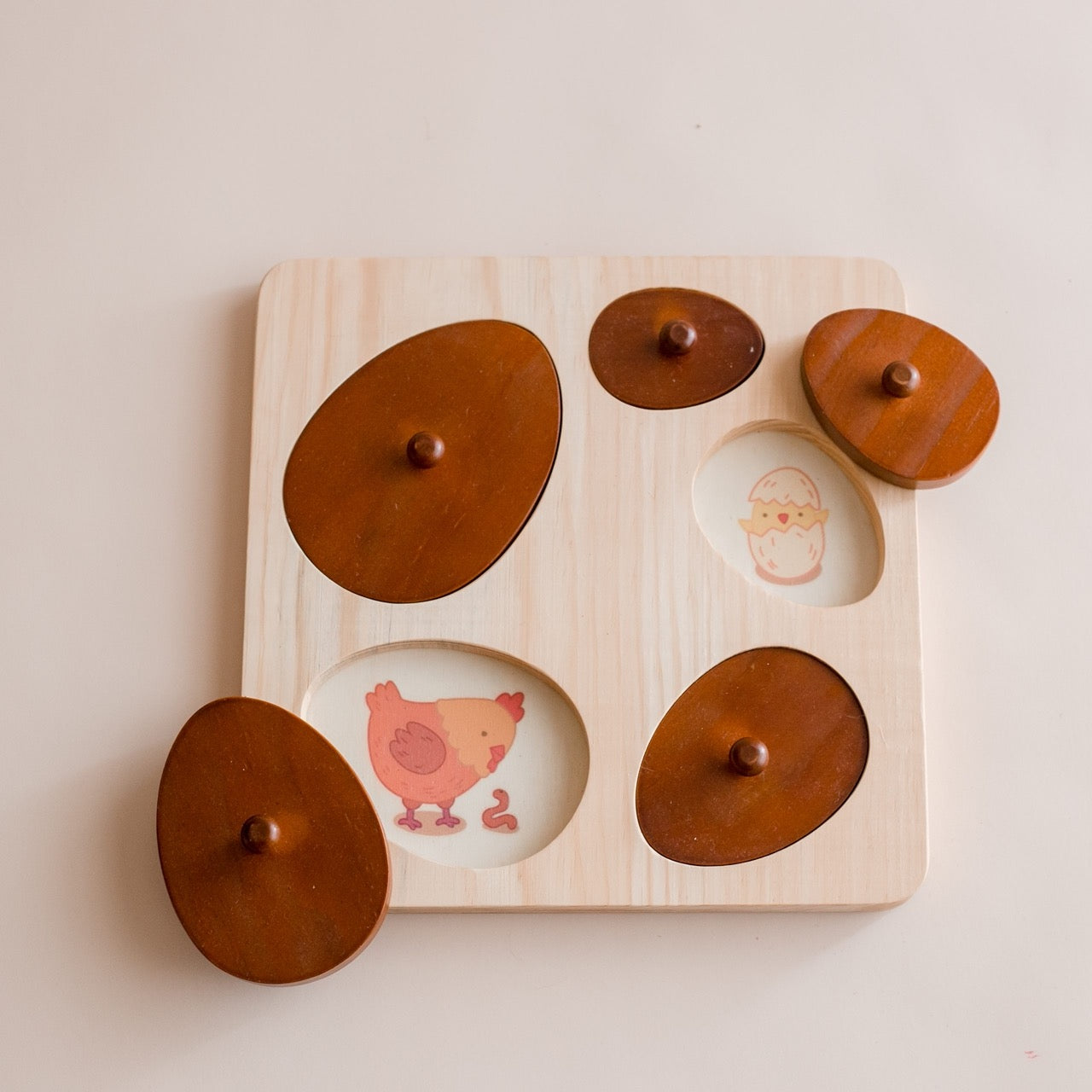 Qtoys - Hen Life Cycle Puzzle