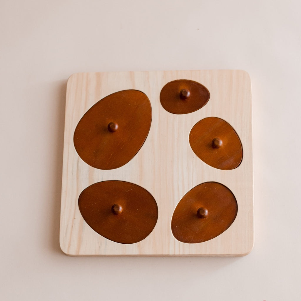 Qtoys - Hen Life Cycle Puzzle