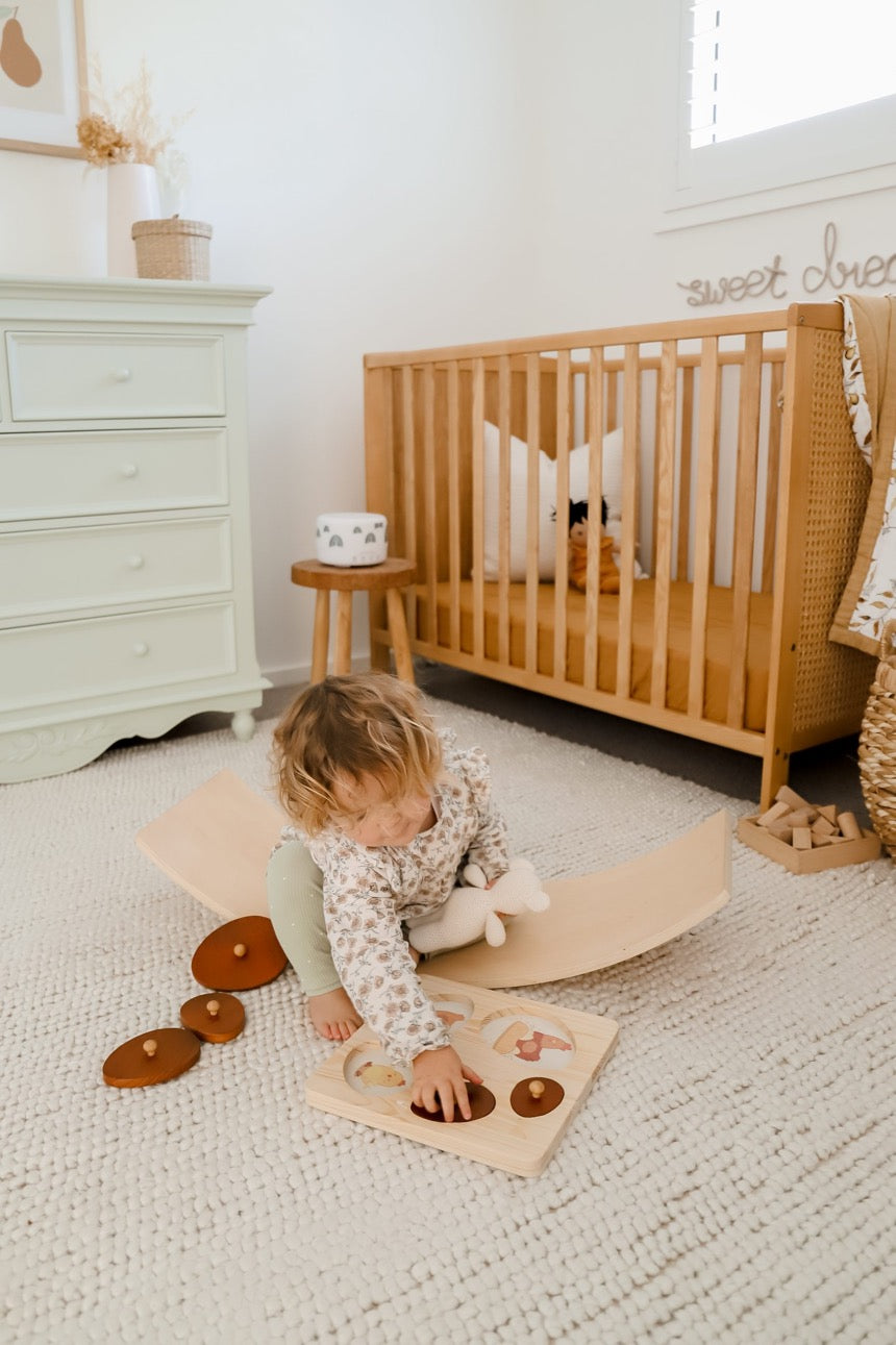 Qtoys - Hen Life Cycle Puzzle