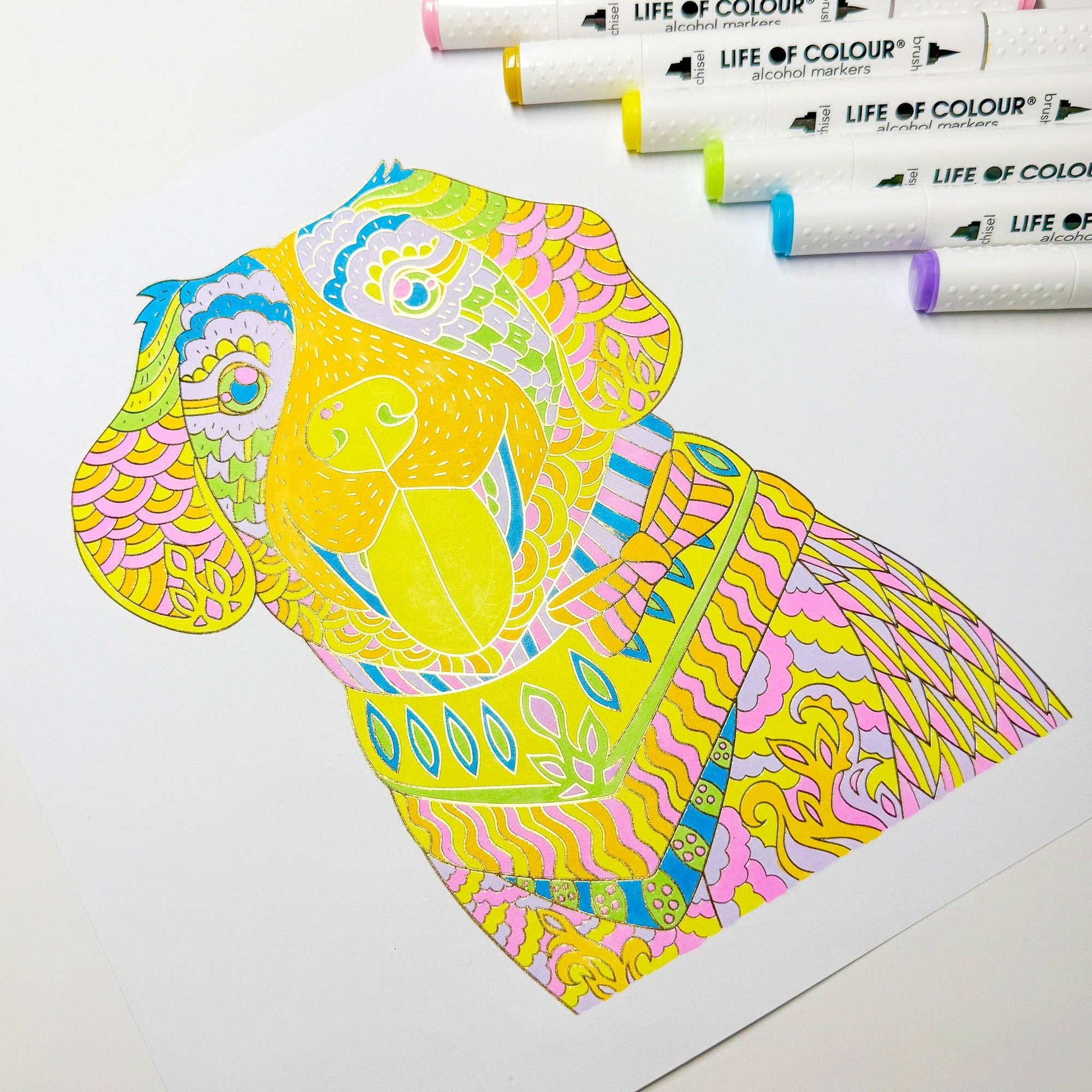 Life of Colour - Art Markers - 24 Alcohol Based, Dual Tip Markers for Colouring