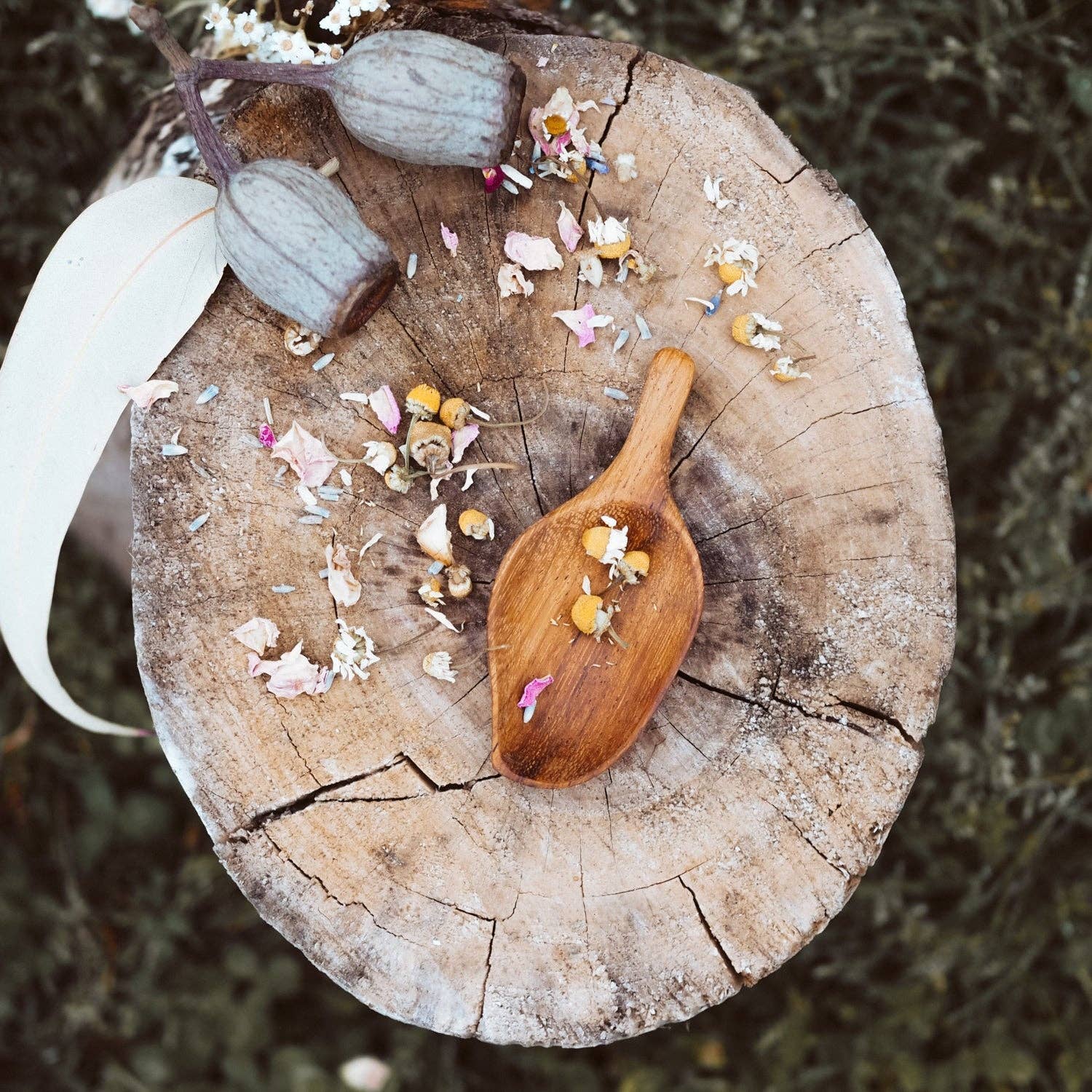 Wild Mountain Child - Handcrafted Leaf Scoop