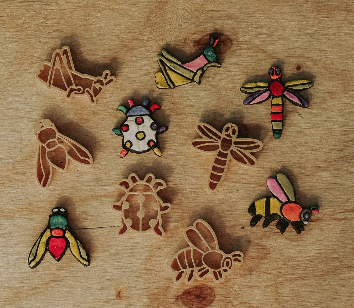 Kinfolk Pantry - Insect Cutter Set - Eco Playdough Tool