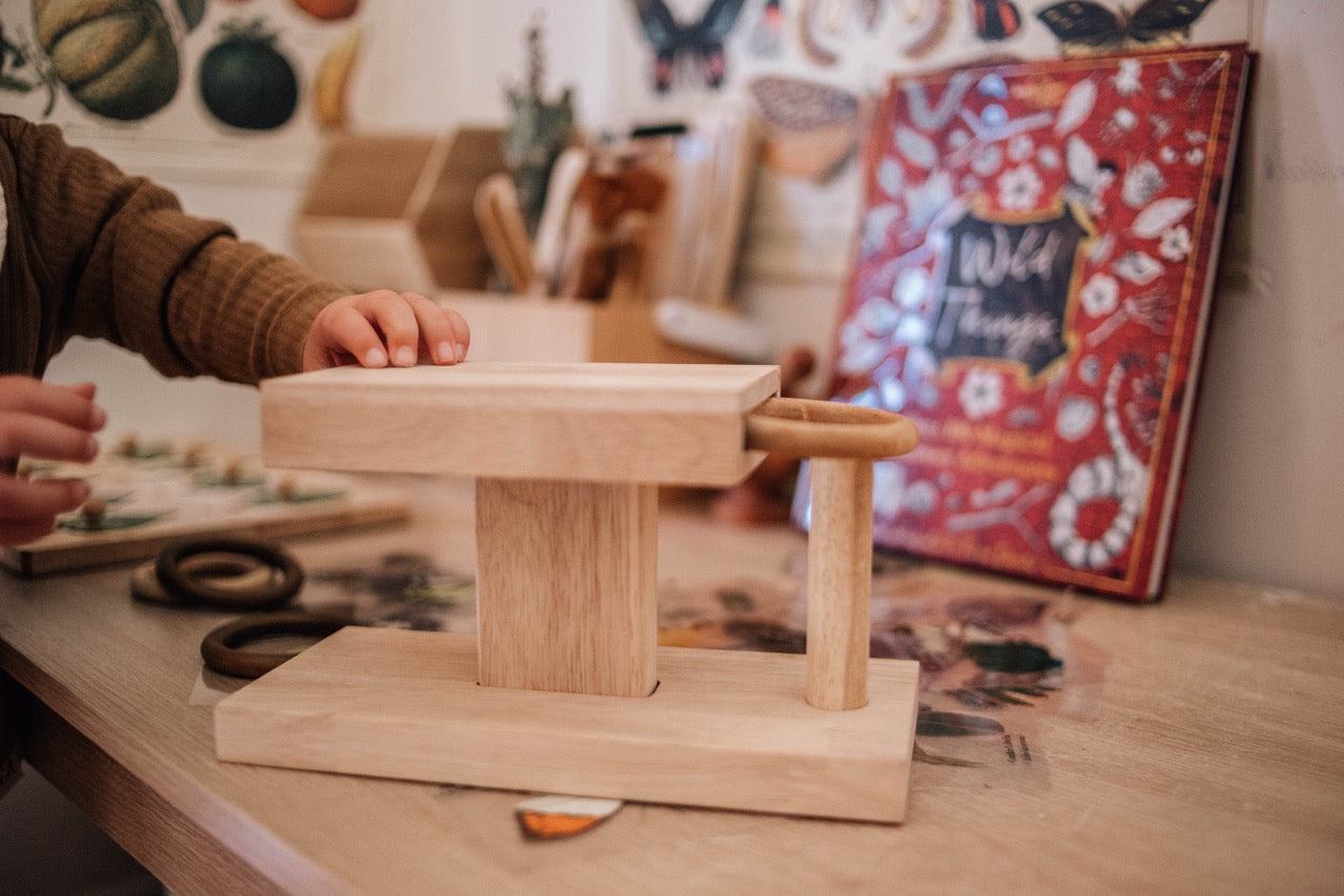 Qtoys - Montessori rings activity