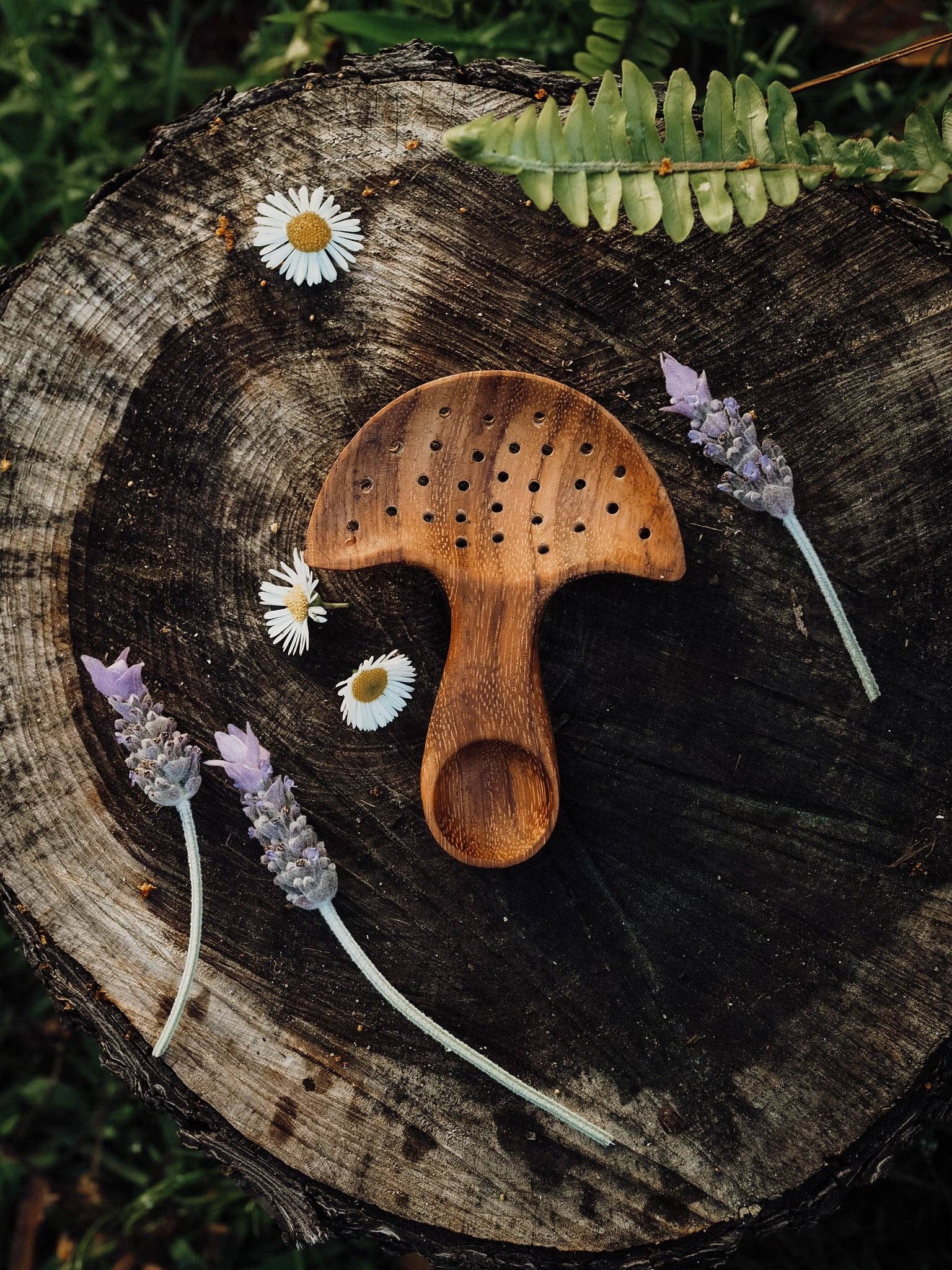 Wild Mountain Child - Mushroom Multi Tool