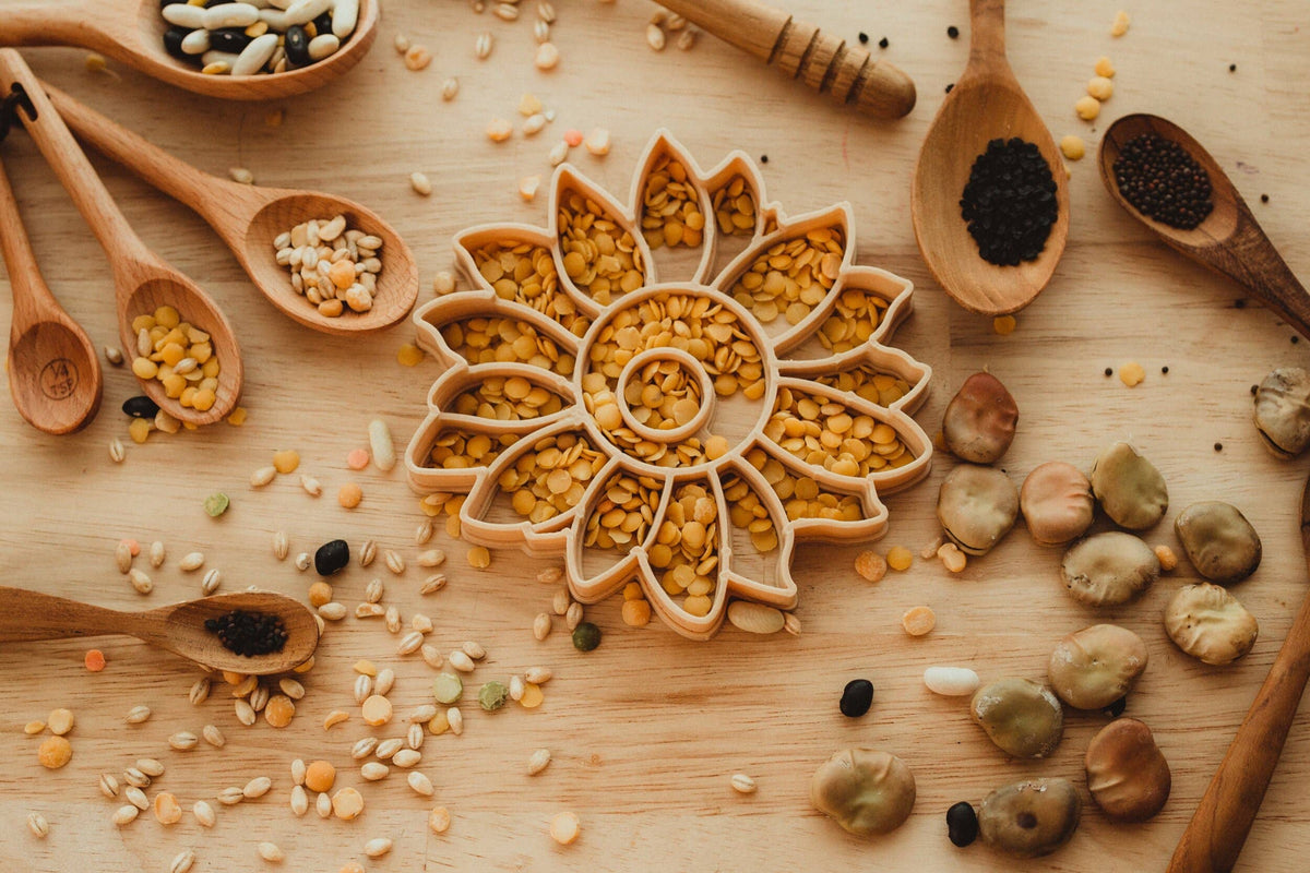Kinfolk Pantry - Sunflower Cutter - Eco Playdough Tool
