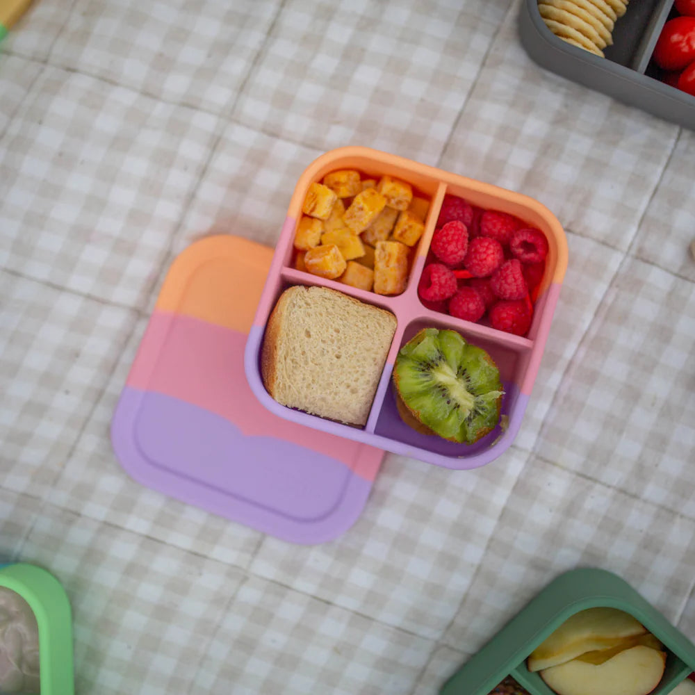 The Zero Waste People - Bento Snack Box