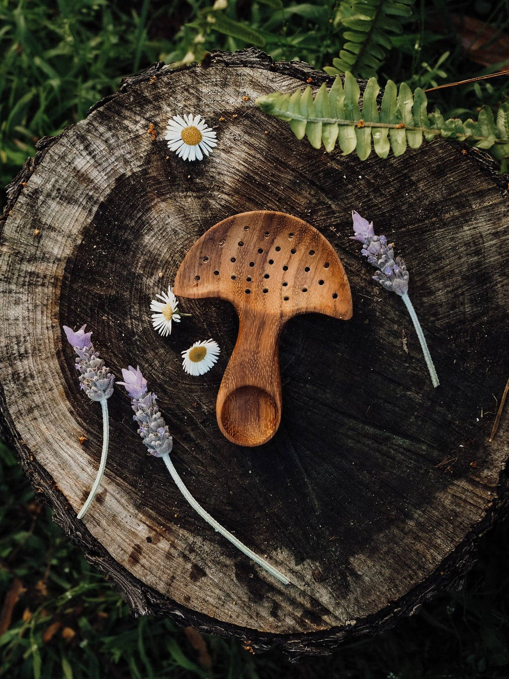 Wild Mountain Child - Mushroom Multi Tool