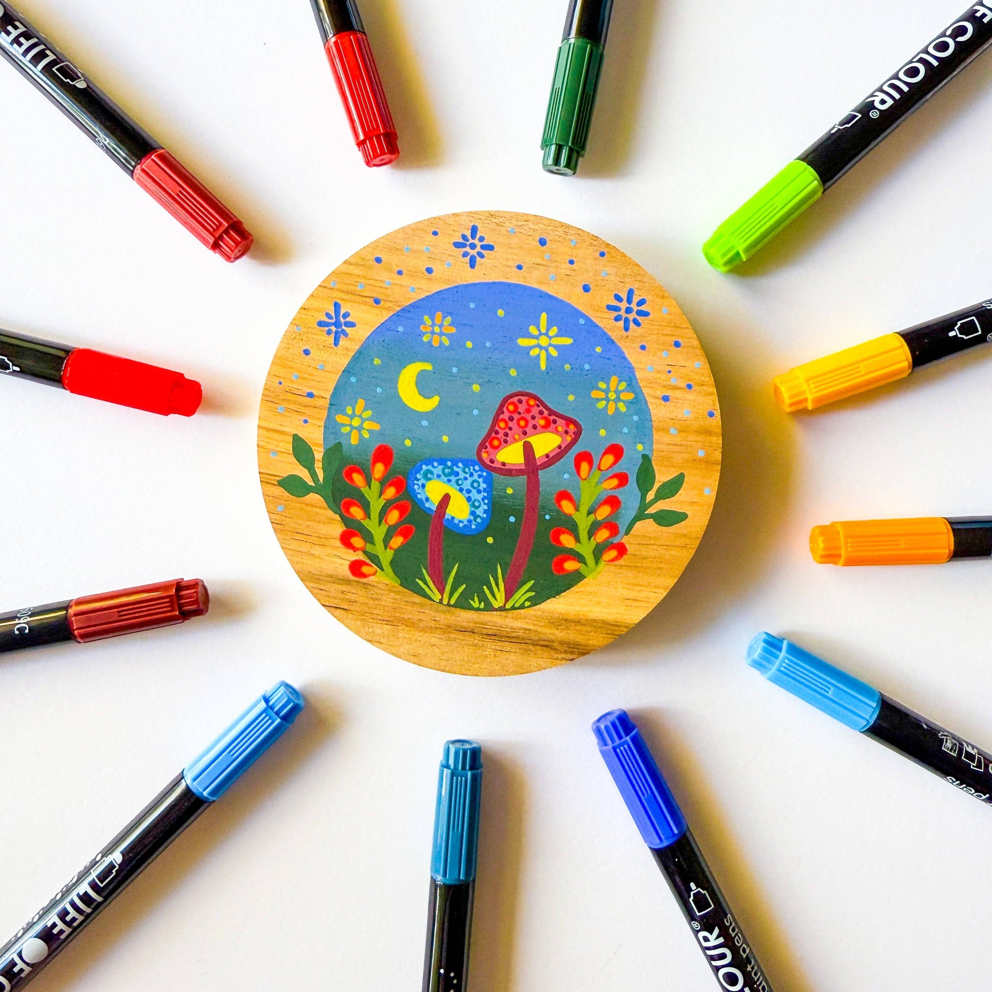 Life of Colour - Wild Dots Acrylic Paint Pens -  Set of 12 Earth Colours