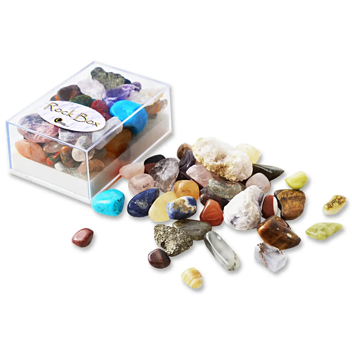 Science and Nature - Rock Box