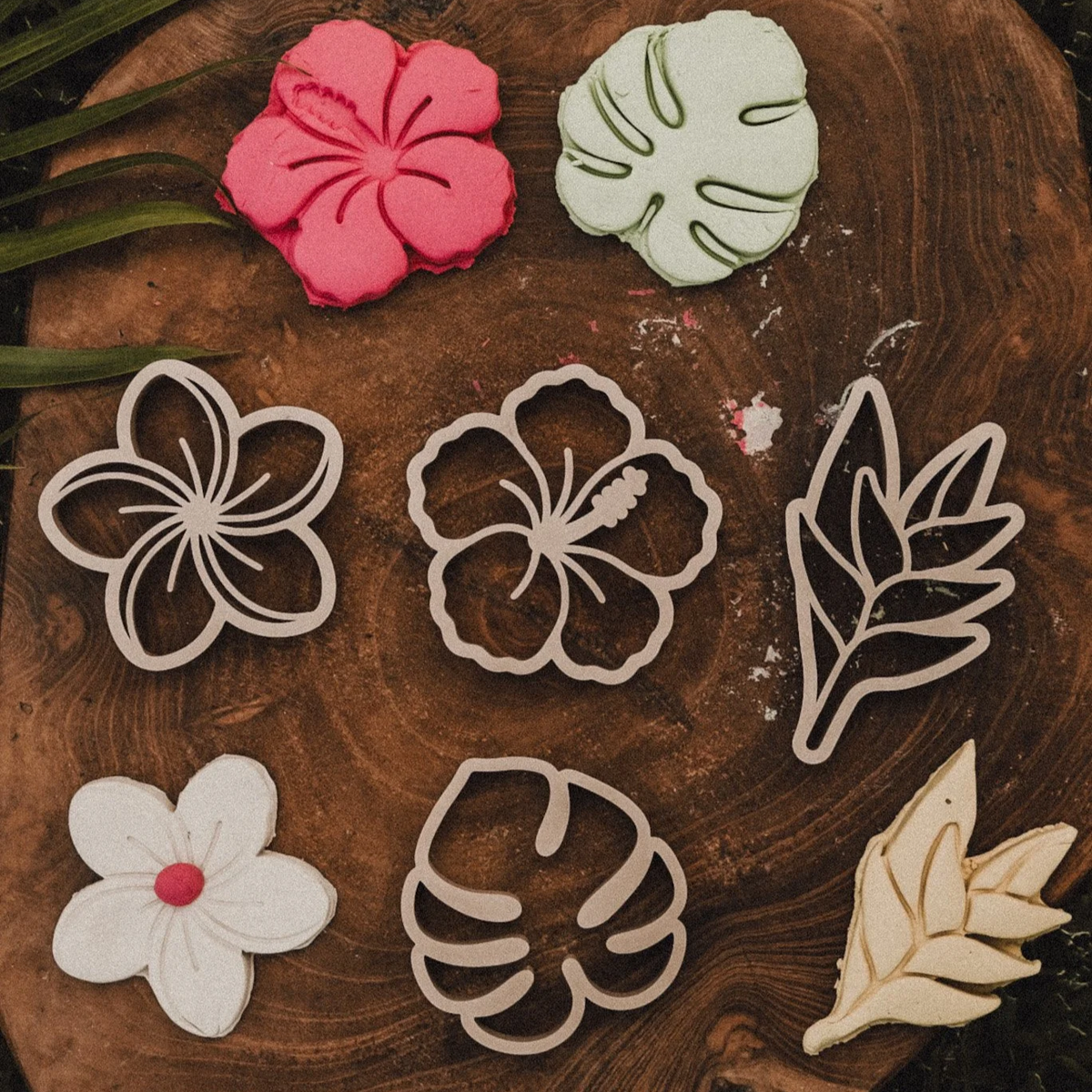 Kinfolk Pantry - Tropical Flower Eco Cutter Set