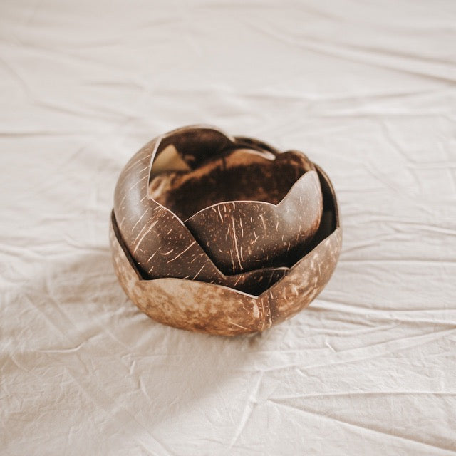qtoys coconut bowls set
