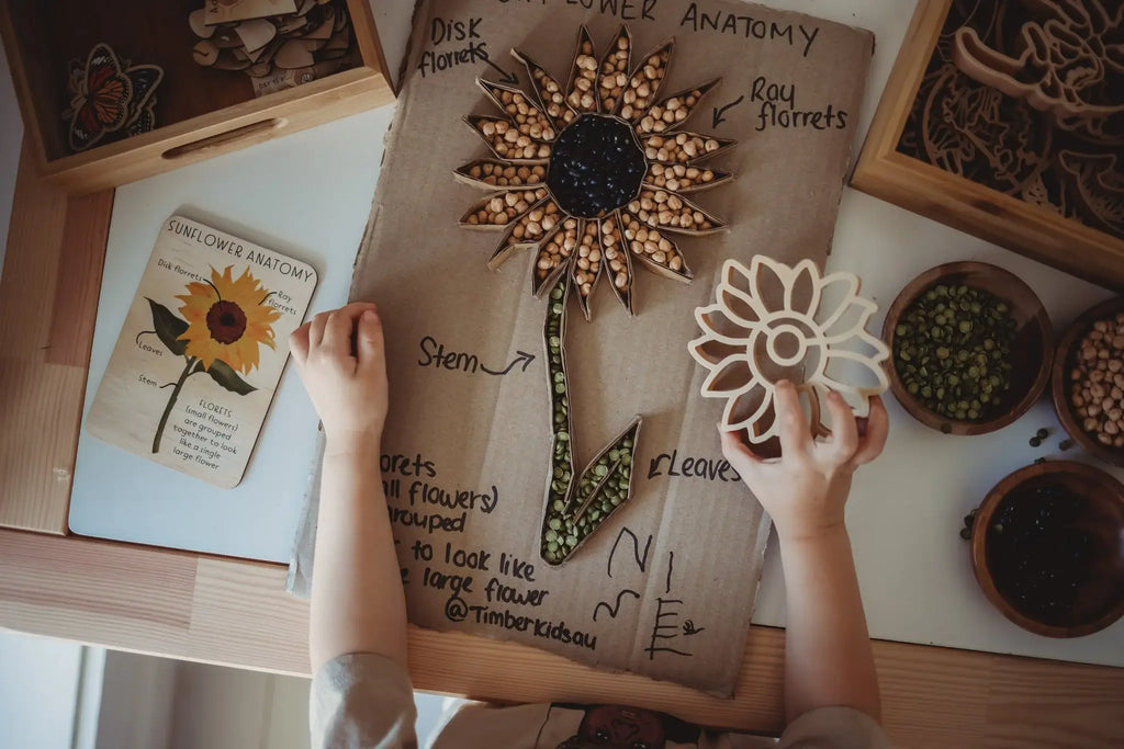 Kinfolk Pantry - Sunflower Cutter - Eco Playdough Tool