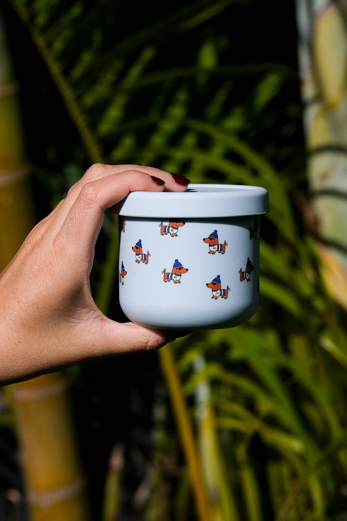 BBcino - Dagwood SNACK POT  (250ml)