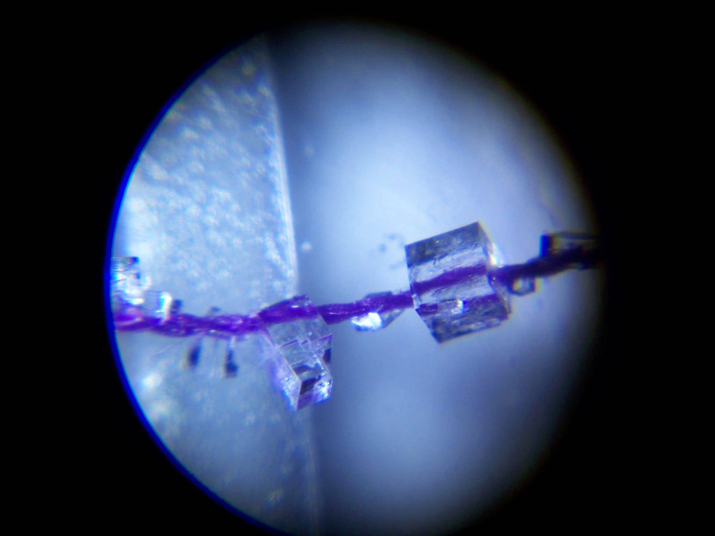 Science & Nature - Pocket Microscope