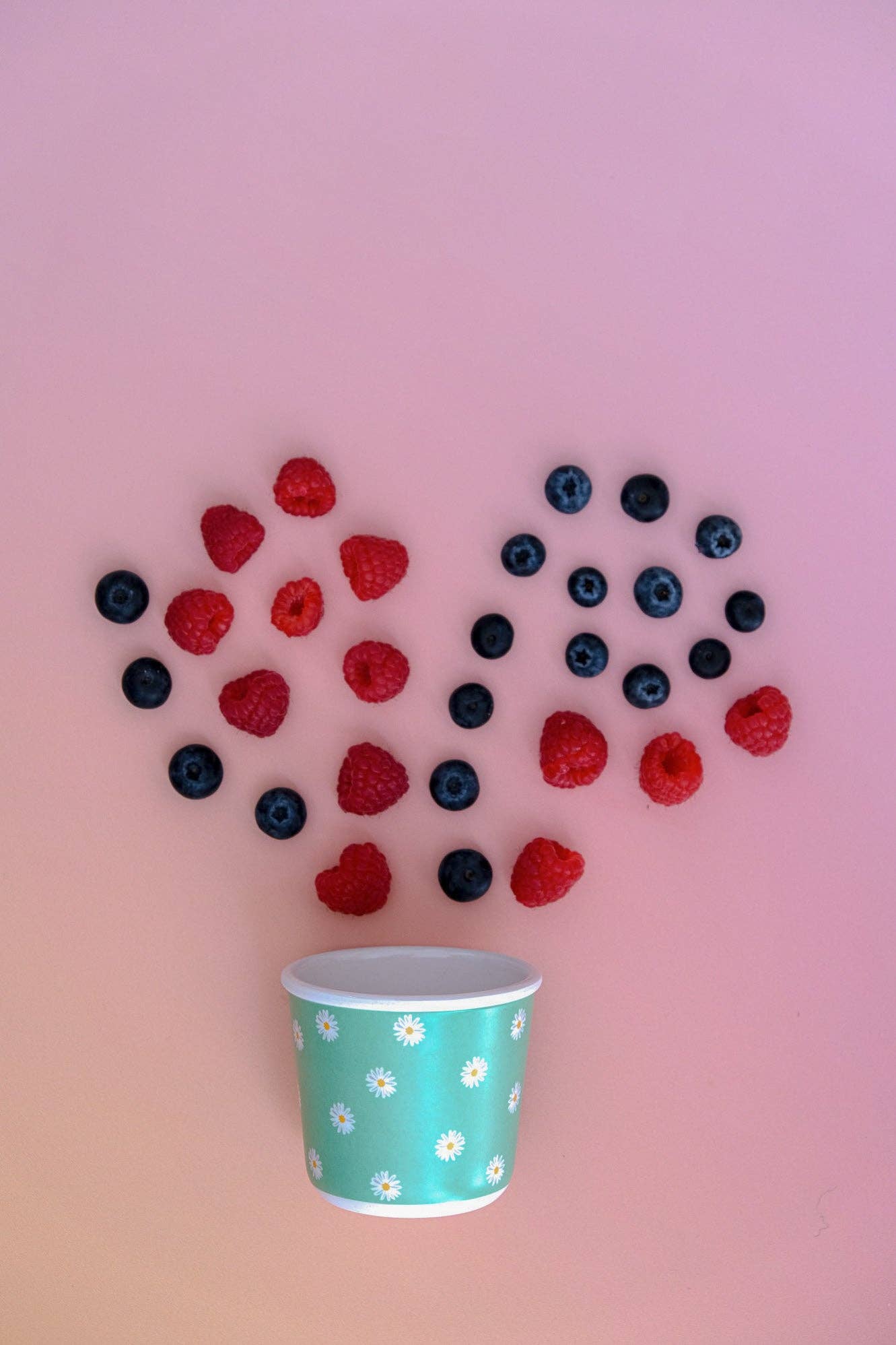 BBcino - Daisy, BB SNACK POT  (220ml)
