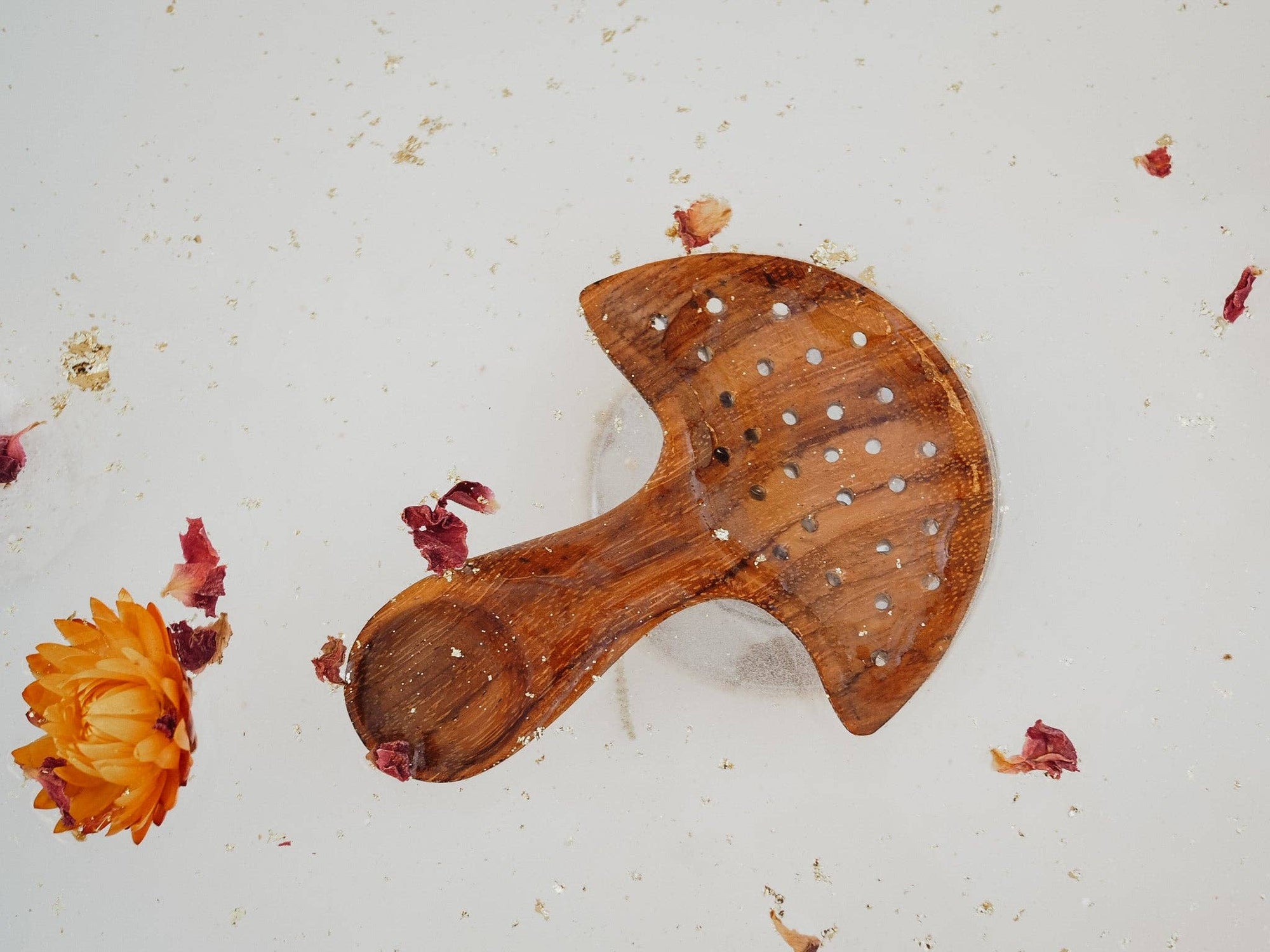 Wild Mountain Child - Mushroom Multi Tool