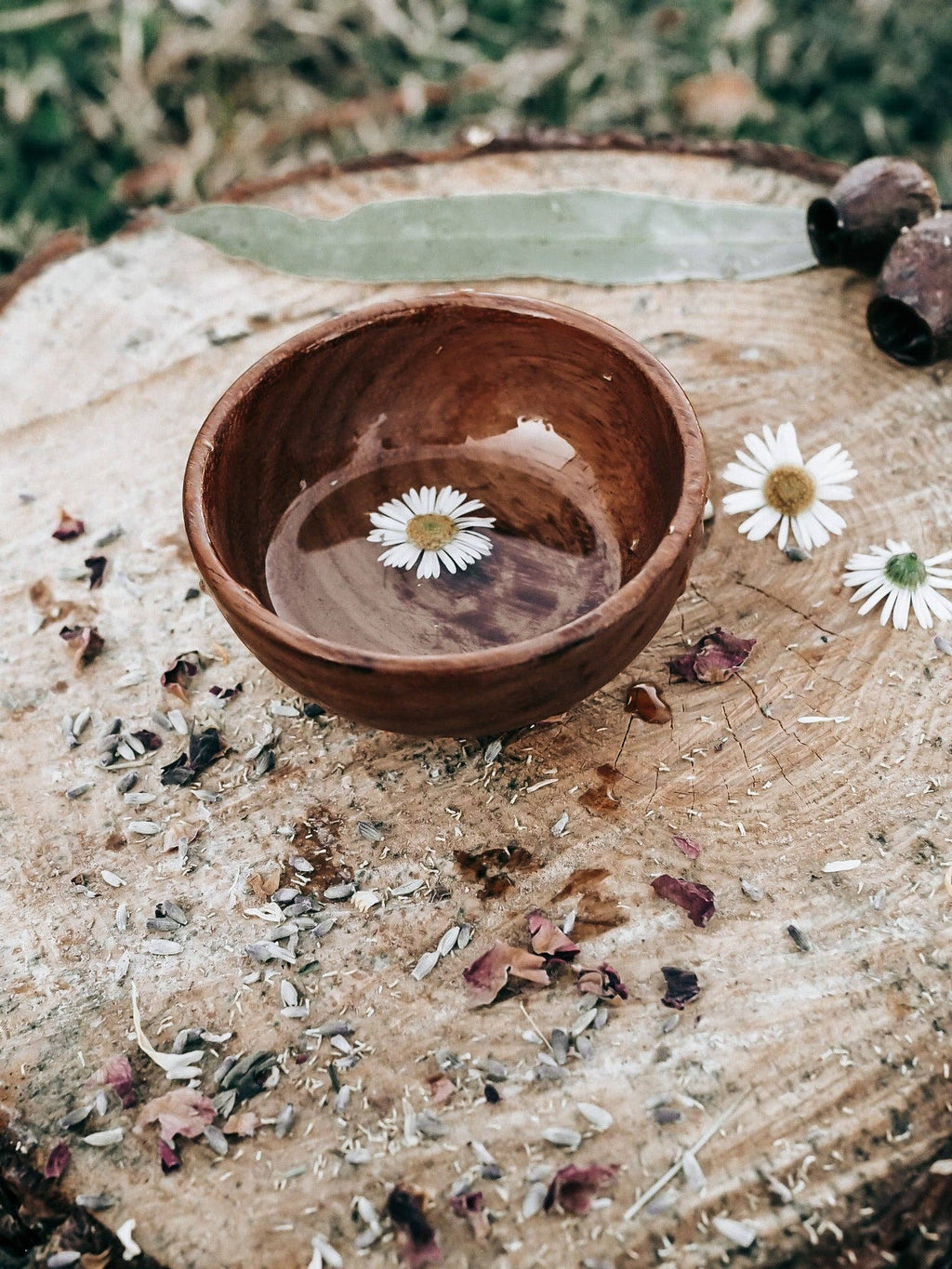 Wild Mountain Child - Treasure Bowl