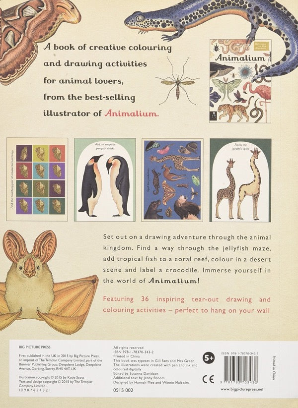 Animalium Activity Book
