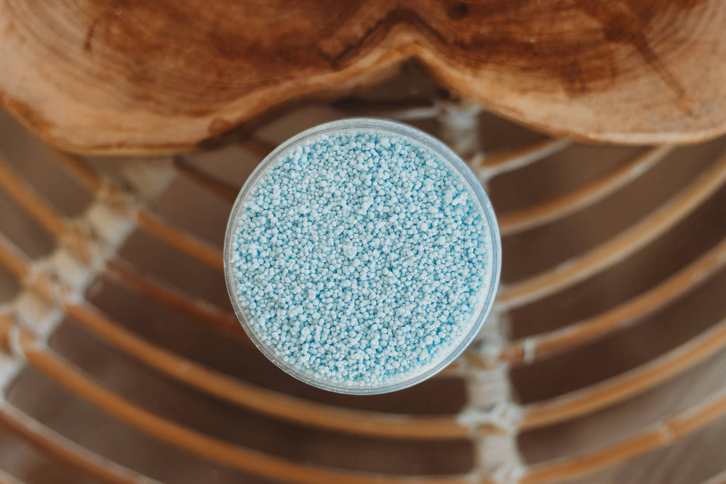 The Saltwater Collective - Icy Waters Saltwater Fizz - Medium