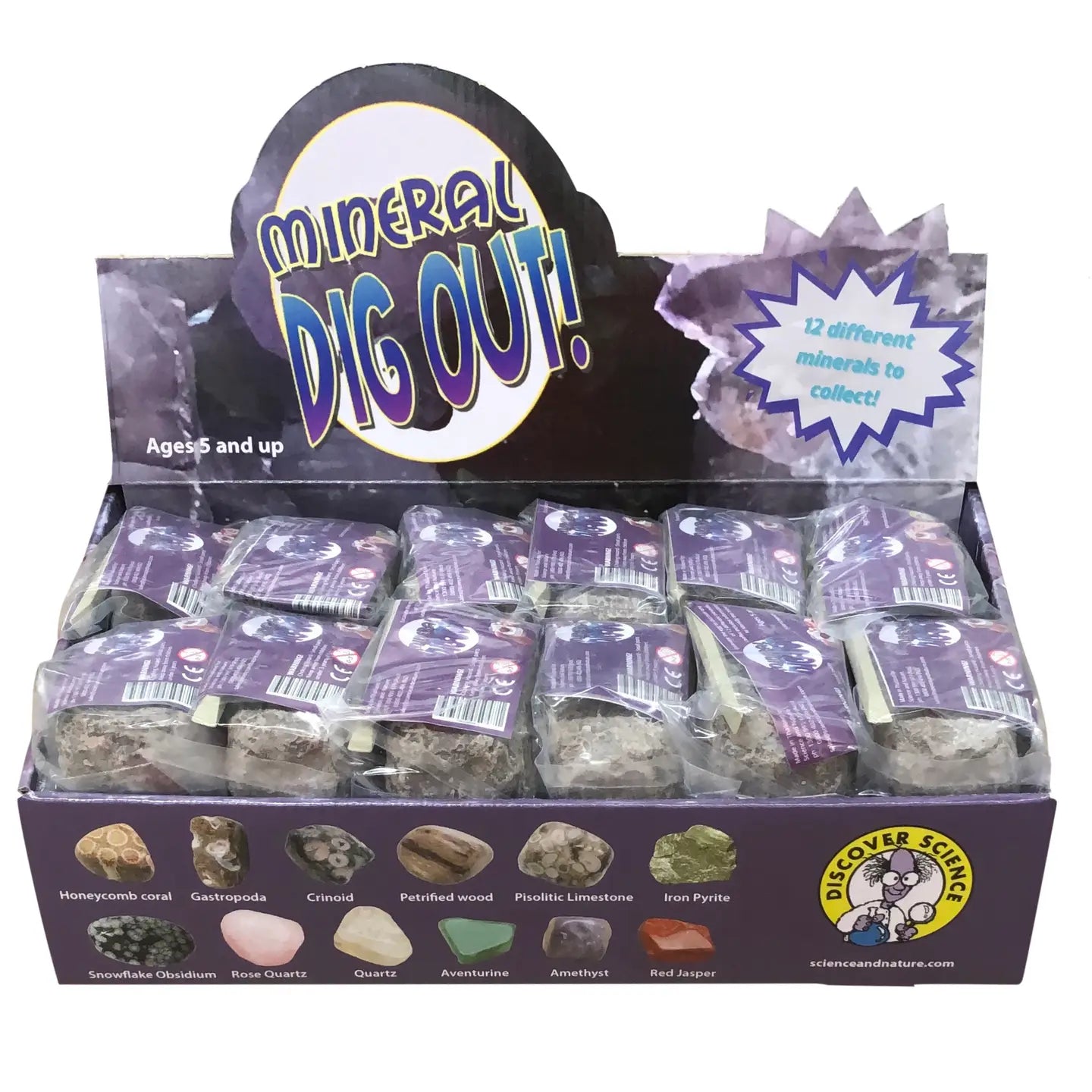 Science & Nature - Mineral Dig Out