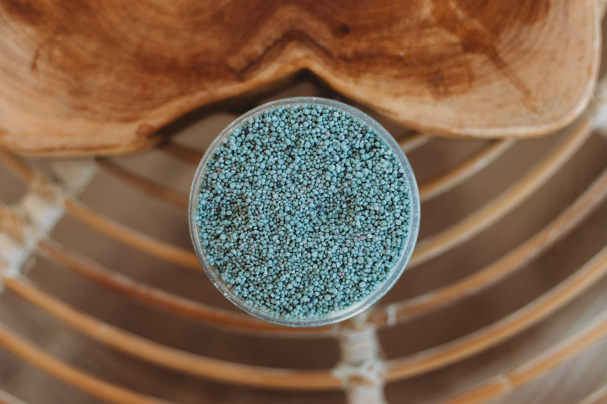 The Saltwater Collective - Blue Lagoon Saltwater Fizz - Medium